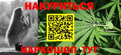 прущие грибы Гудермес