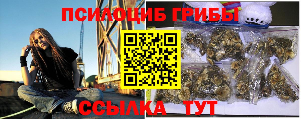 купить   Псилоцибиновые грибы Psilocybe  Вход с VPN  Горячий Ключ  Галлюциногенные грибы Magic Shrooms 
