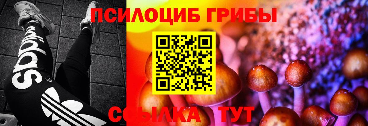 Галлюциногенные грибы Psilocybine cubensis Горячий Ключ